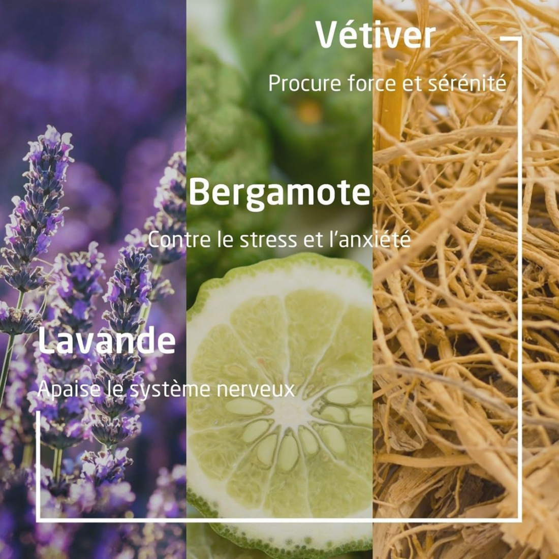 'Aroma Shower Relax' Shower Cream - 400 ml