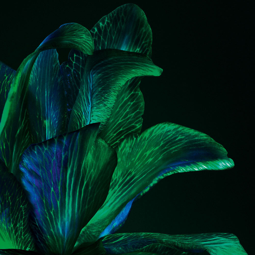 Powercell Skin Rehab - Sérum De Nuit Régénérant Youth Grafter - 50 ml