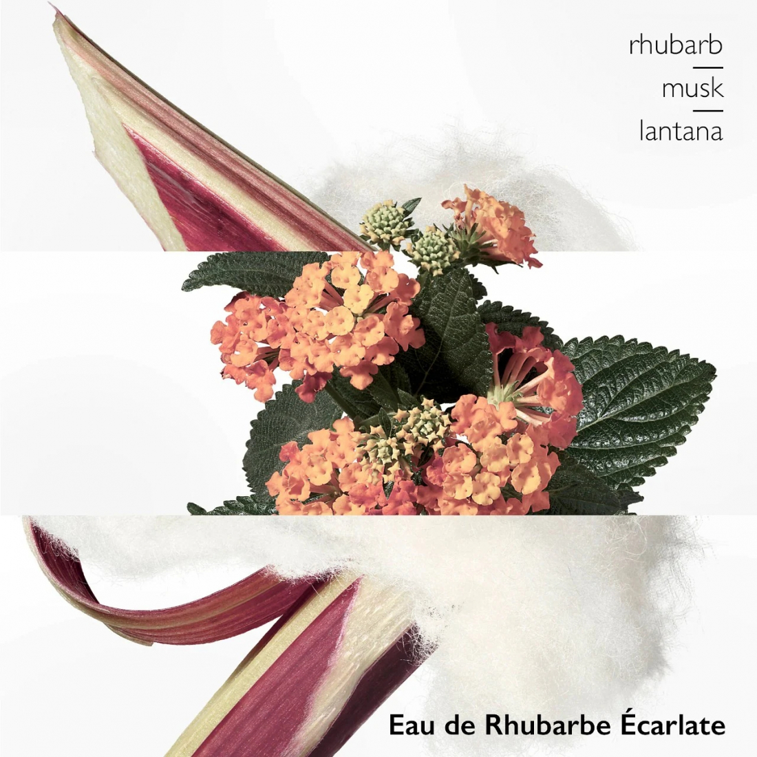 Coffret de parfum 'Mini Fragrance Discovery' - 4 Pièces