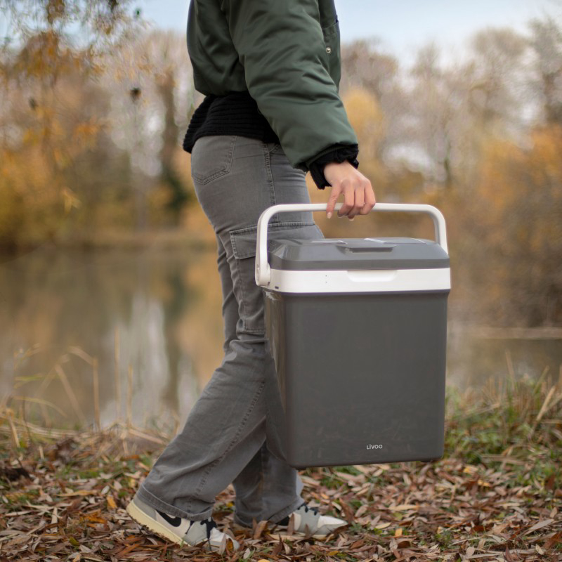 Glacière électrique froid et chaud