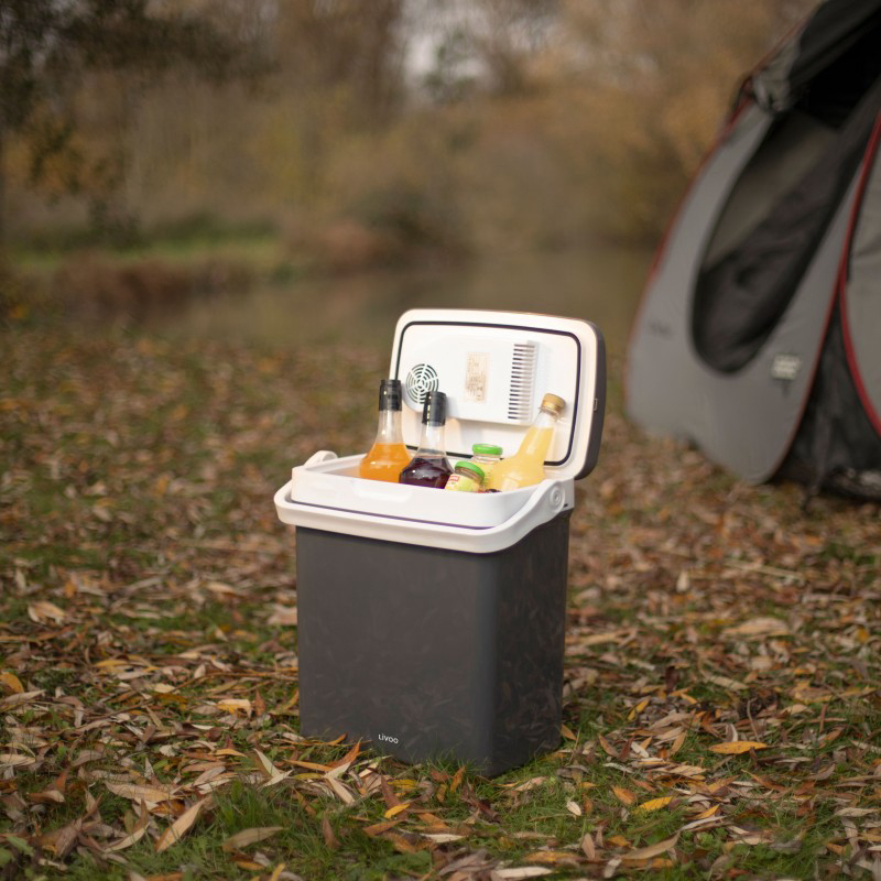 Glacière électrique froid et chaud