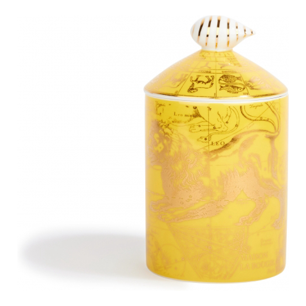 'Lion' Kerze - 350 g