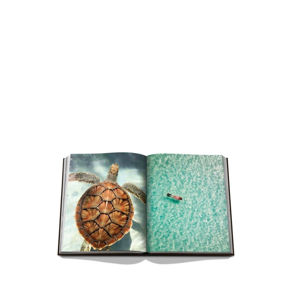 'Jamaica Vibes' Buch