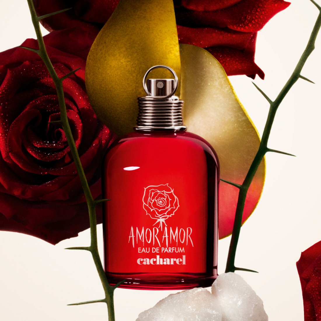 Eau de parfum 'Amor Amor' - 100 ml
