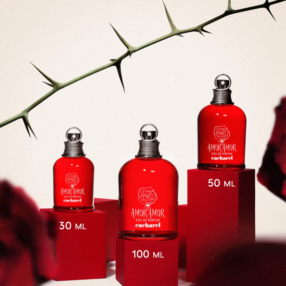 Eau de parfum 'Amor Amor' - 100 ml