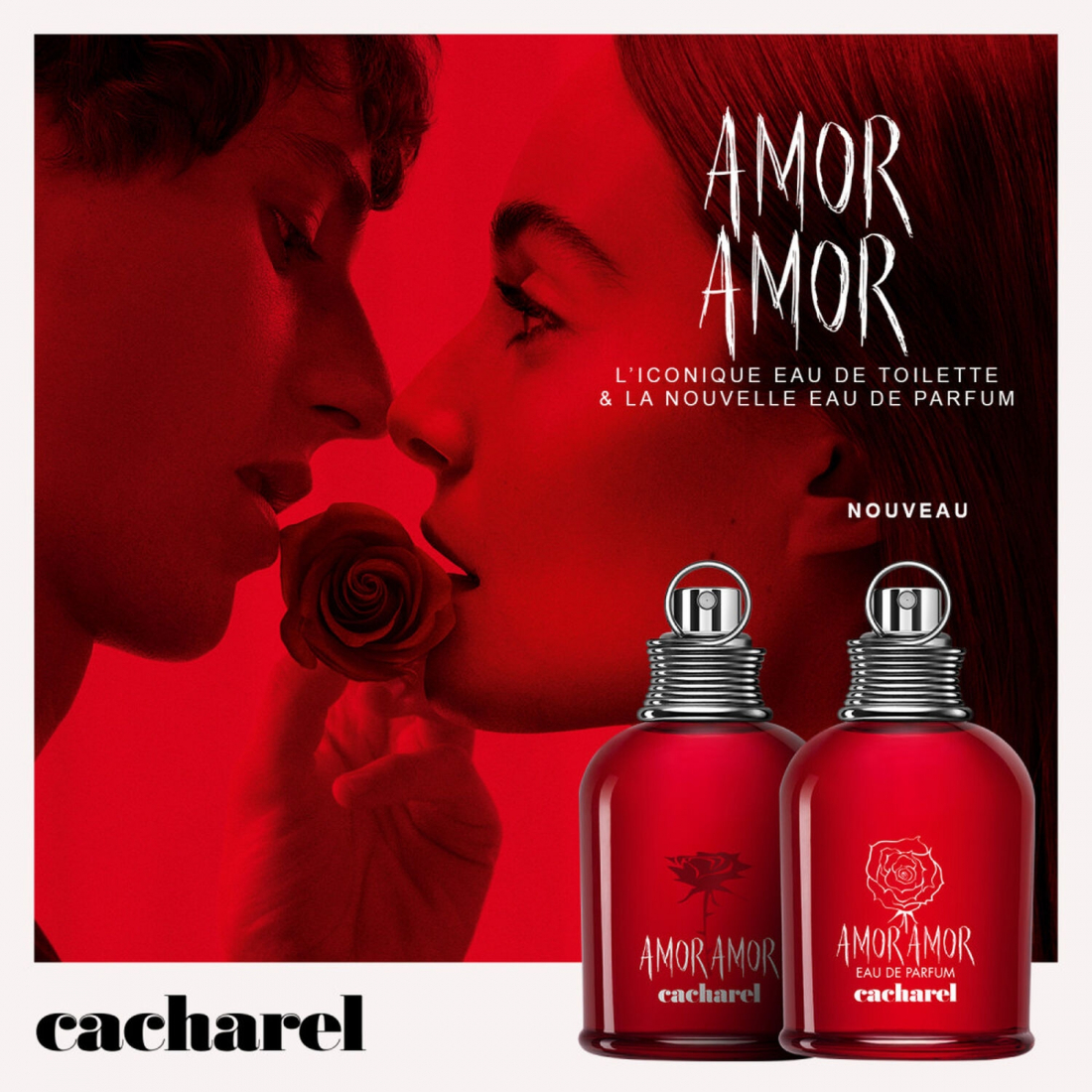 'Amor Amor' Eau de parfum - 50 ml