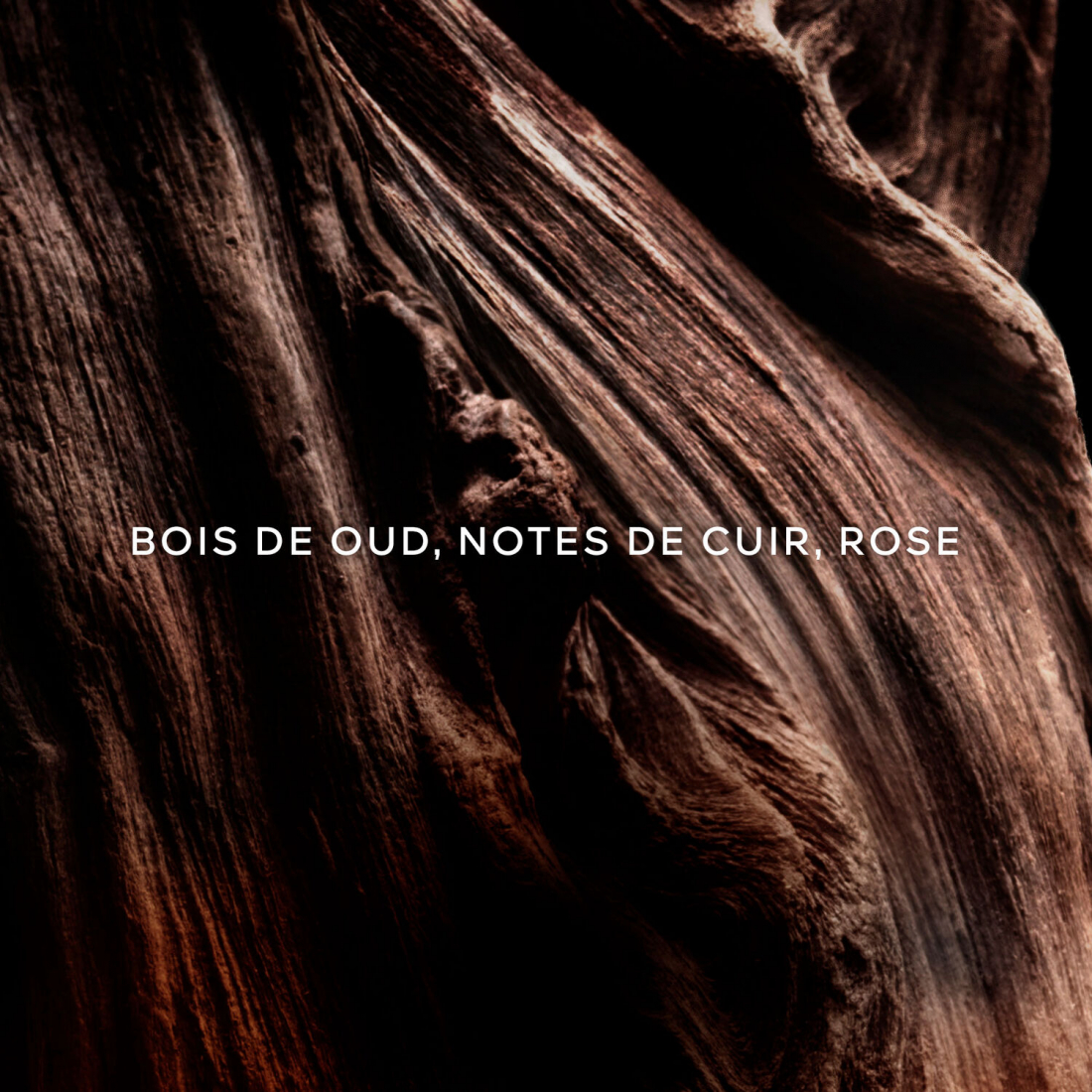 Eau de parfum 'Absolute Allegoria Oud Essentiel' - 125 ml