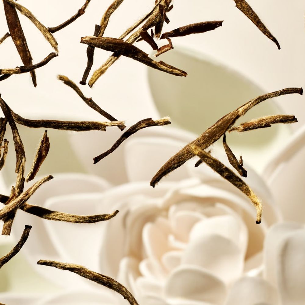 'The Ritual Of Karma' Auto-Lufterfrischer - 3 g, 2 Stücke