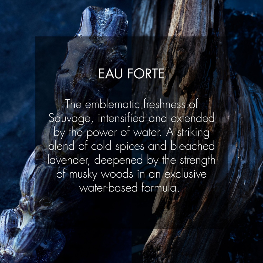 'Sauvage Eau Forte' Parfüm - 100 ml