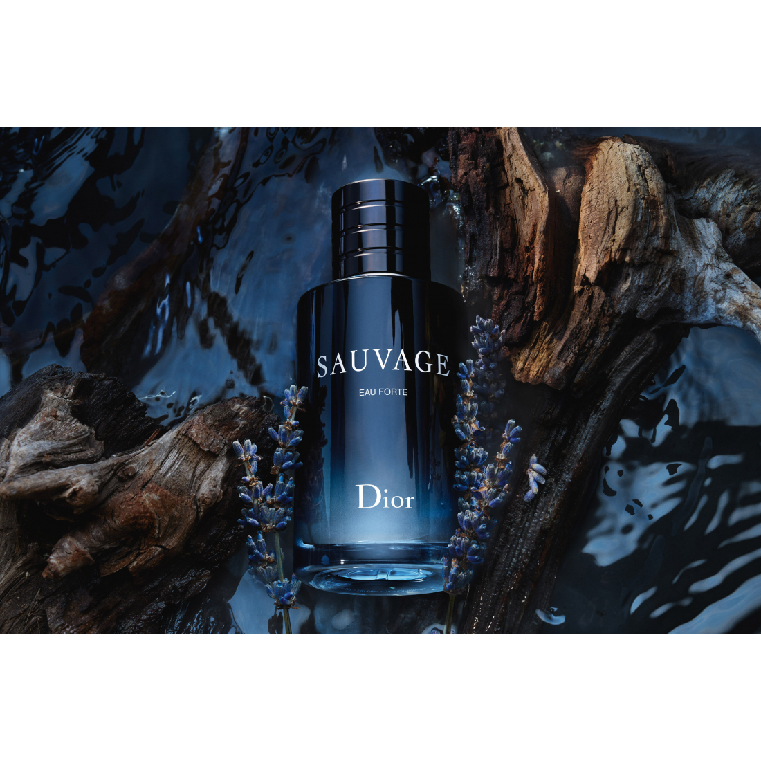 'Sauvage Eau Forte' Parfüm - 60 ml
