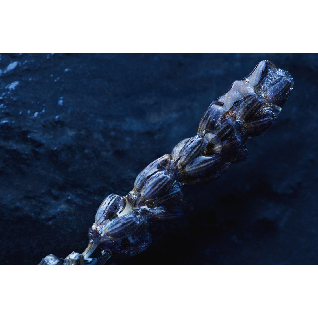 'Sauvage Eau Forte' Parfüm - 60 ml