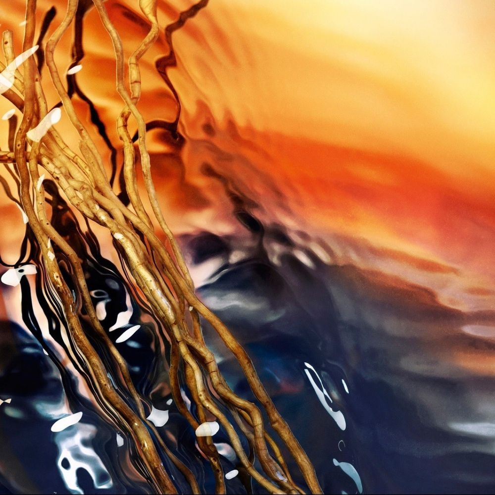 'Cool Water Reborn' Eau de parfum - 100 ml