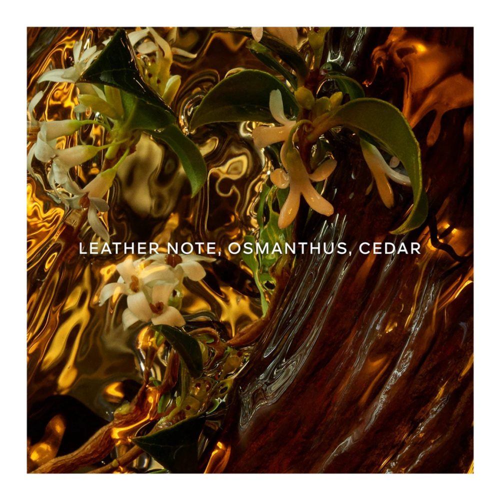 'Absolute Allegoria Cuir Intense' Eau De Parfum - 125 ml