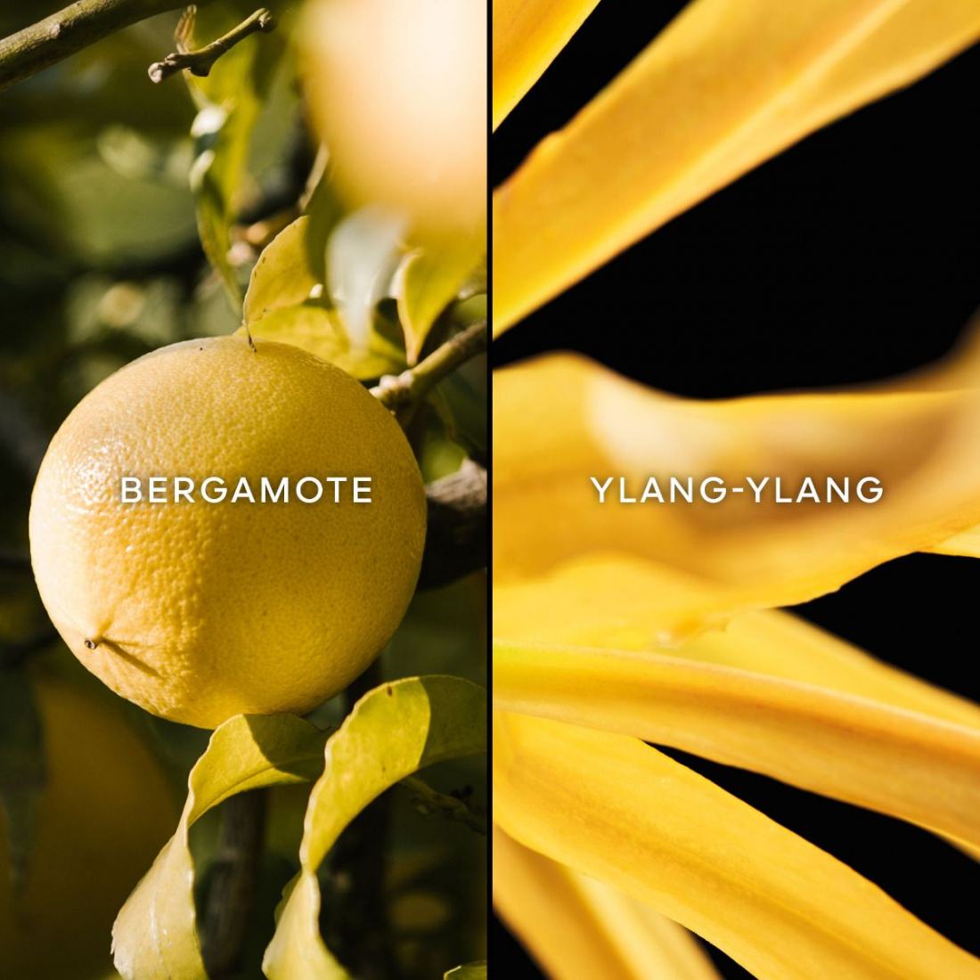 Eau de toilette 'Terracotta 30 Ans Le Parfum' - 75 ml