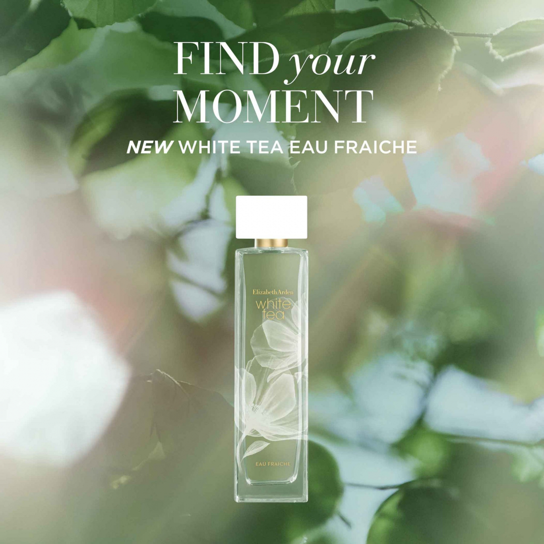 Eau de toilette 'White Tea Eau Fraîche' - 50 ml