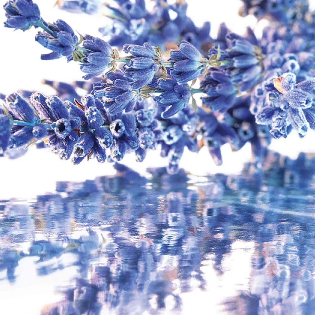 Coffret de parfum 'Mon Guerlain' - 3 Pièces