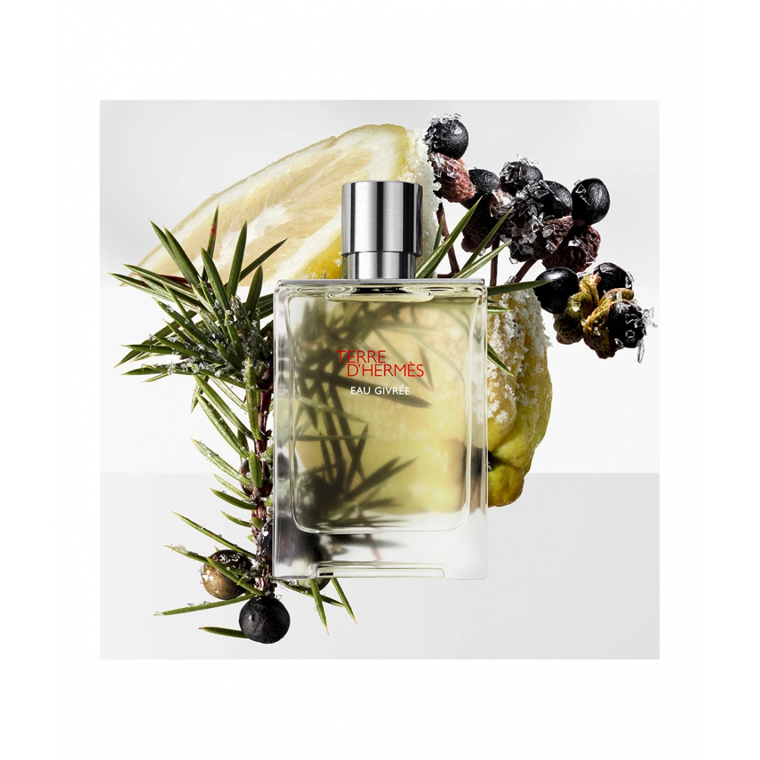 Eau de Parfum - Recharge 'Terre dHermès Eau Givrée' - 200 ml