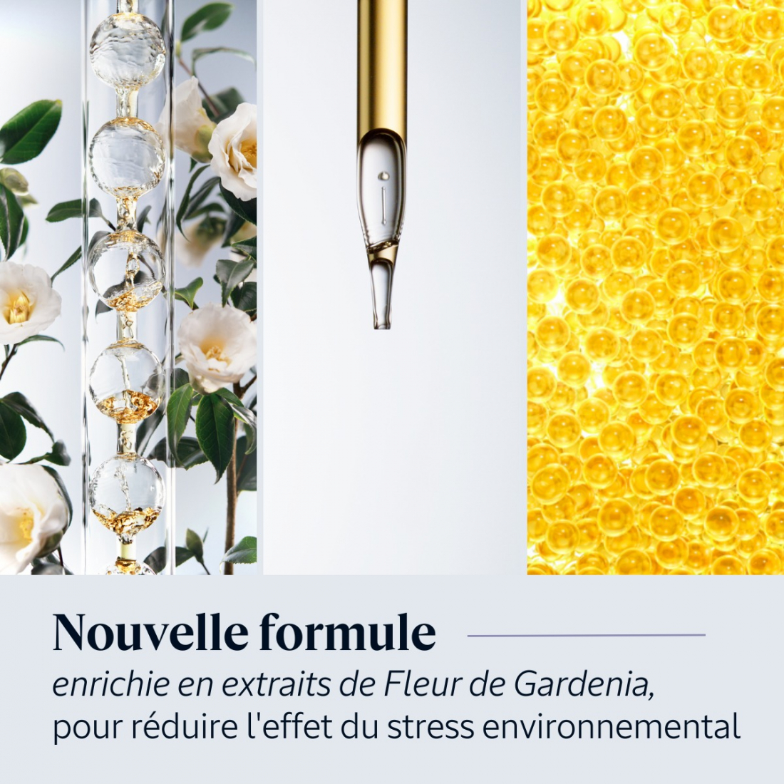 Sérum-en-huile 'Immortelle Overnight Reset' - 30 ml