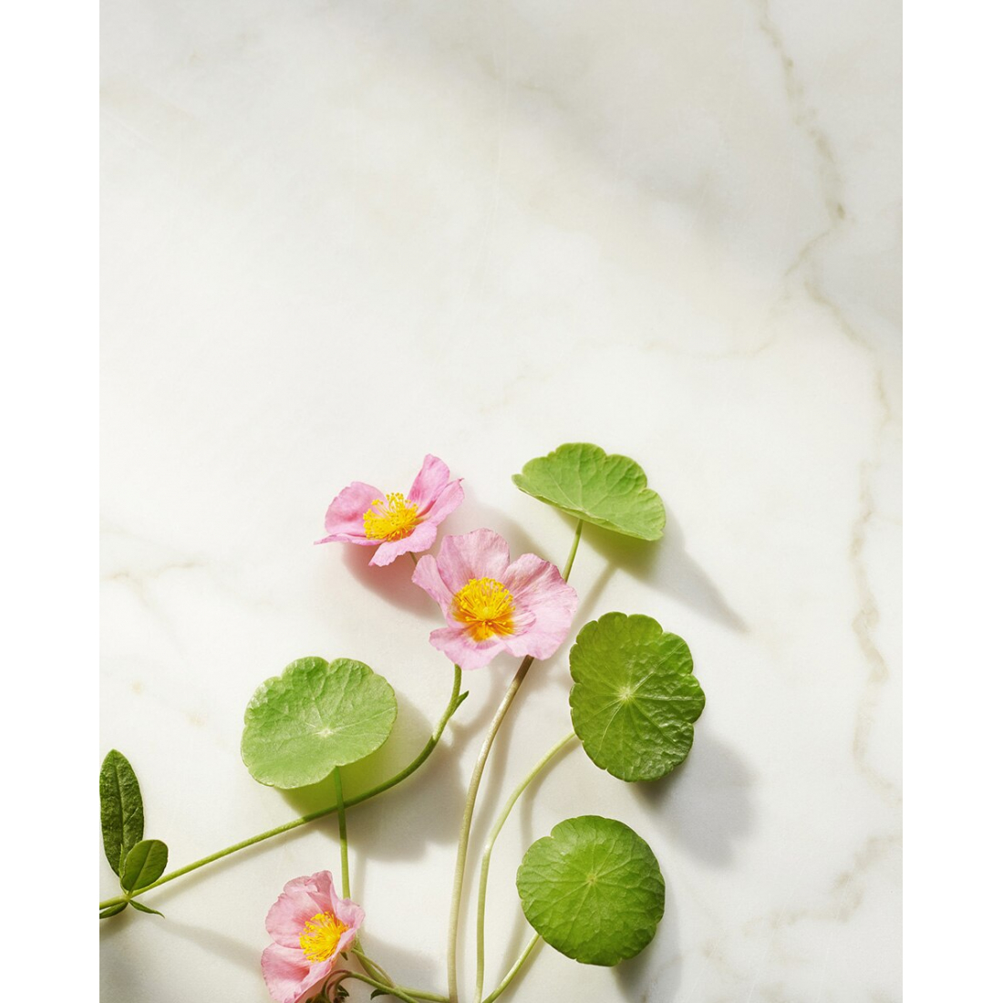 'The Ritual Of Namaste Ageless Refill' Firming Day Cream - 50 ml