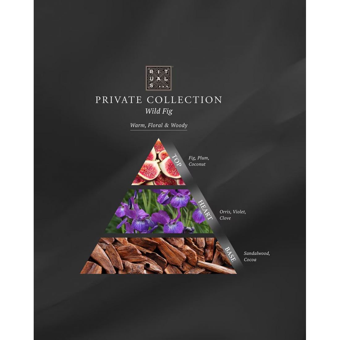 'Wild Fig' Duftende Kerze - 360 g