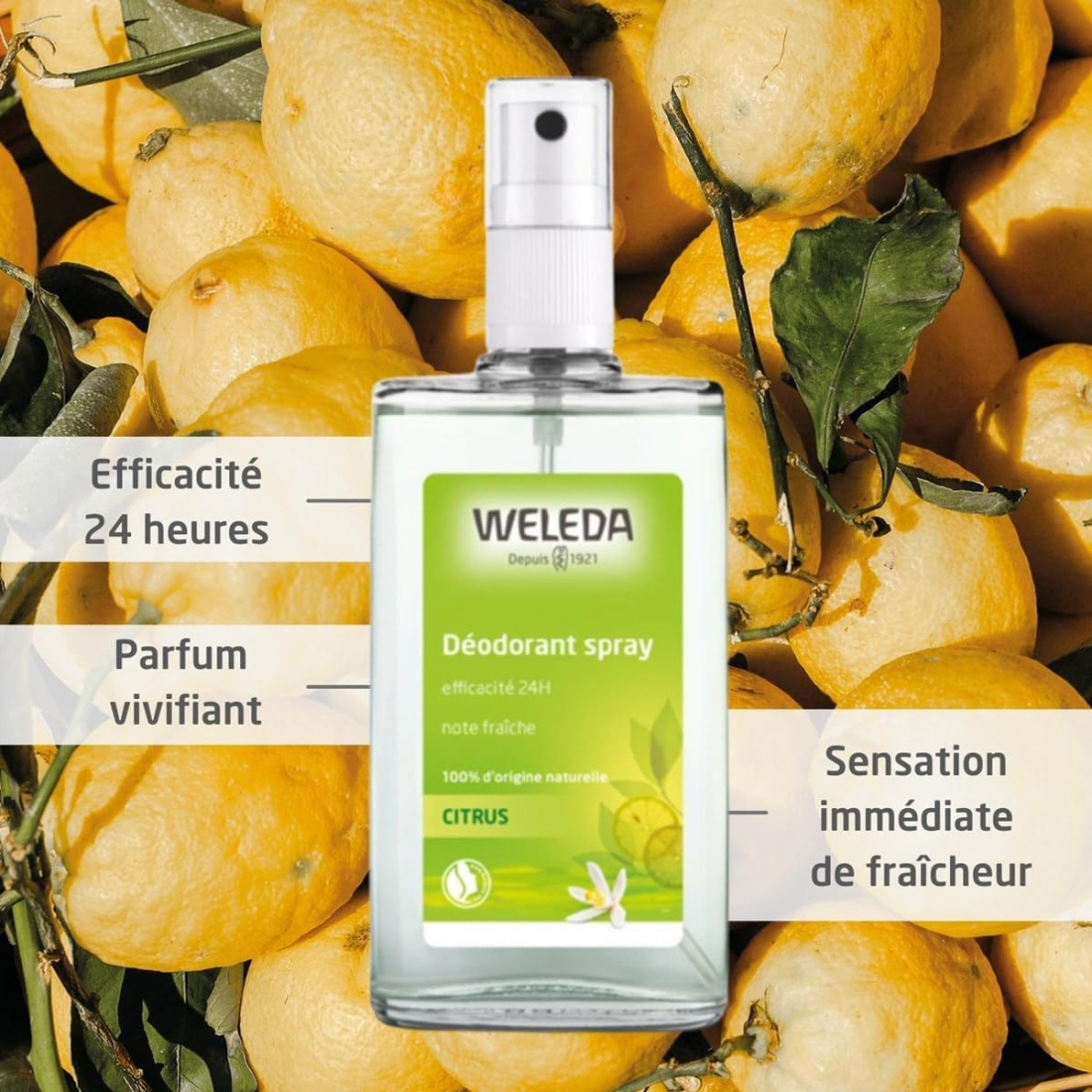 'Citrus Fresh' Spray Deodorant - 100 ml, 2 Pieces