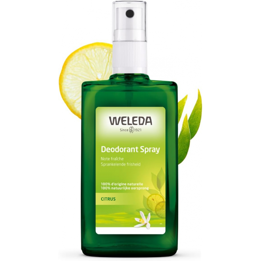 'Citrus Fresh' Spray Deodorant - 100 ml, 2 Pieces