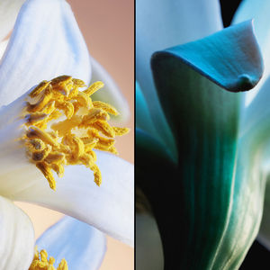 Eau de toilette 'Jardins De Bagatelle' - 75 ml