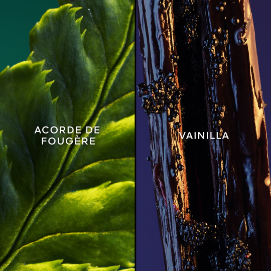 Eau de parfum 'Jicky' - 75 ml