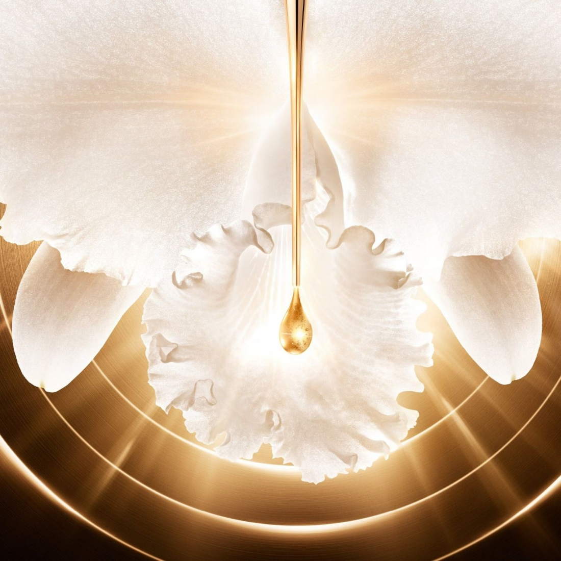 Crème visage 'Orchidée Impériale Gold Nobile' - 50 g