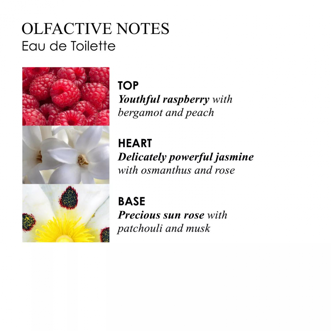 Eau de toilette 'Jasmine & Sun Rose' - 100 ml
