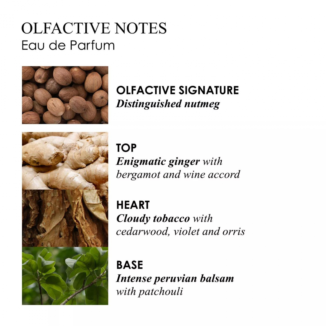 'Tobacco Absolute' Eau De Parfum - 100 ml