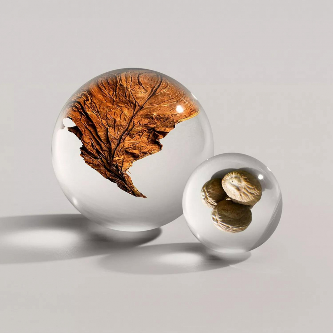 'Tobacco Absolute' Eau De Parfum - 100 ml