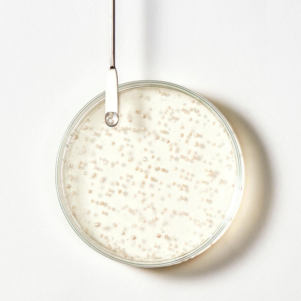 'Triphasic' Anti Hair Loss Shampoo - 500 ml