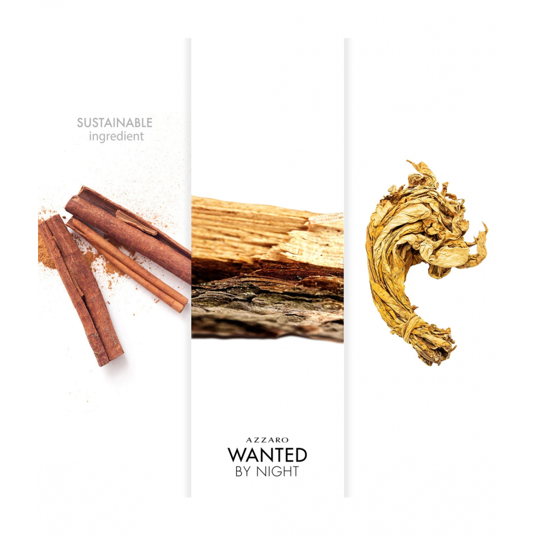 Eau de parfum 'Wanted By Night' - 100 ml