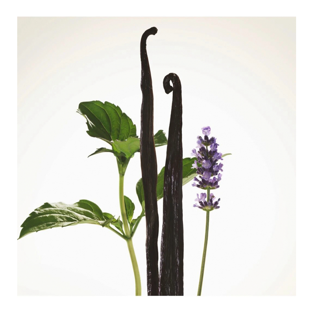 Eau de parfum 'Goddess Intense' - 30 ml