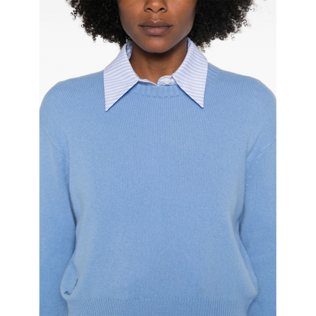 Women's 'Polo Pony-Motif' Sweater