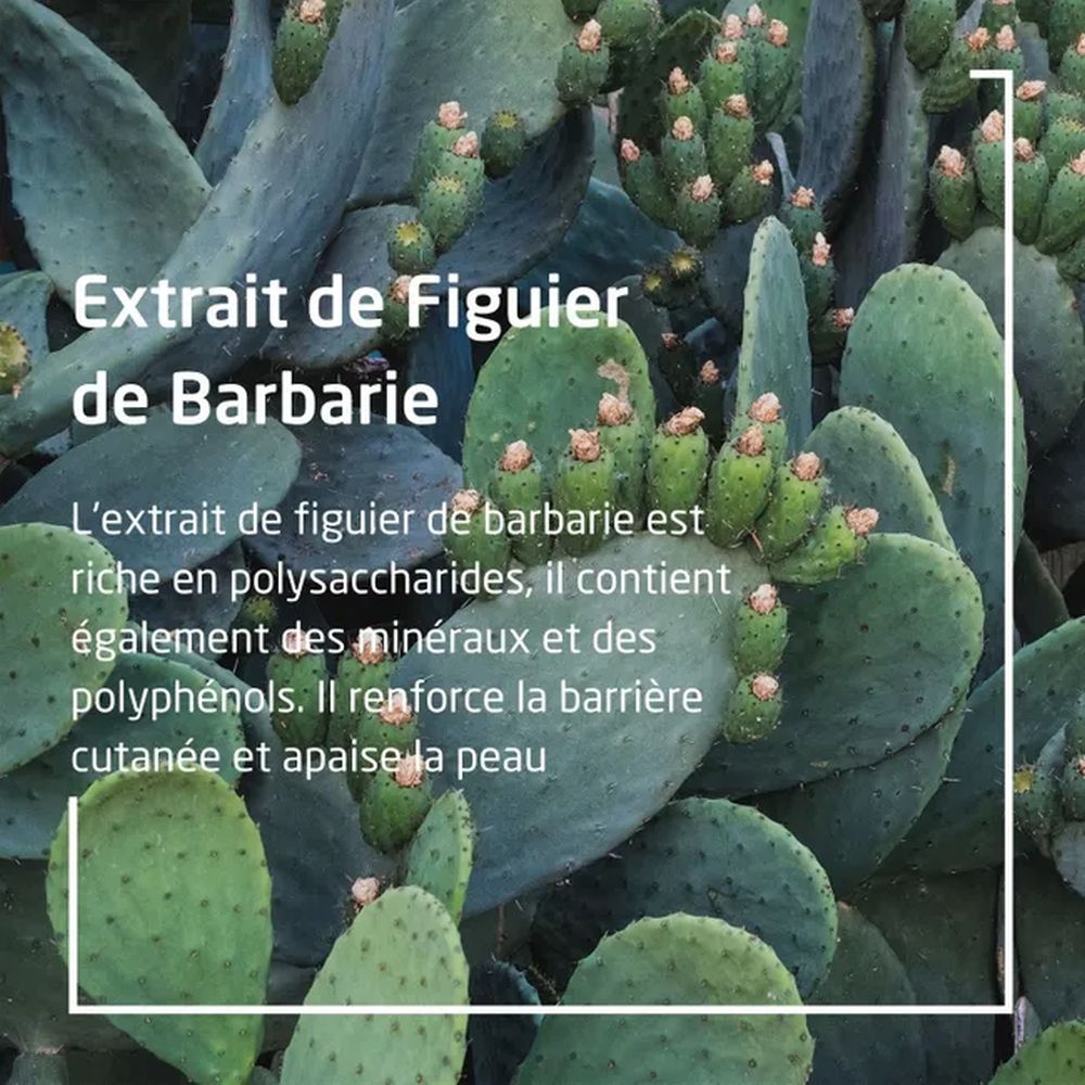 'Figuier de Barbarie 24H' Moisturizing Cream - 30 ml