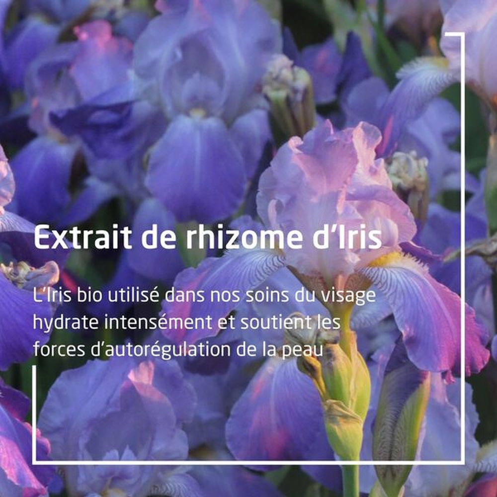 'Iris' Moisturizing fluid - 30 ml