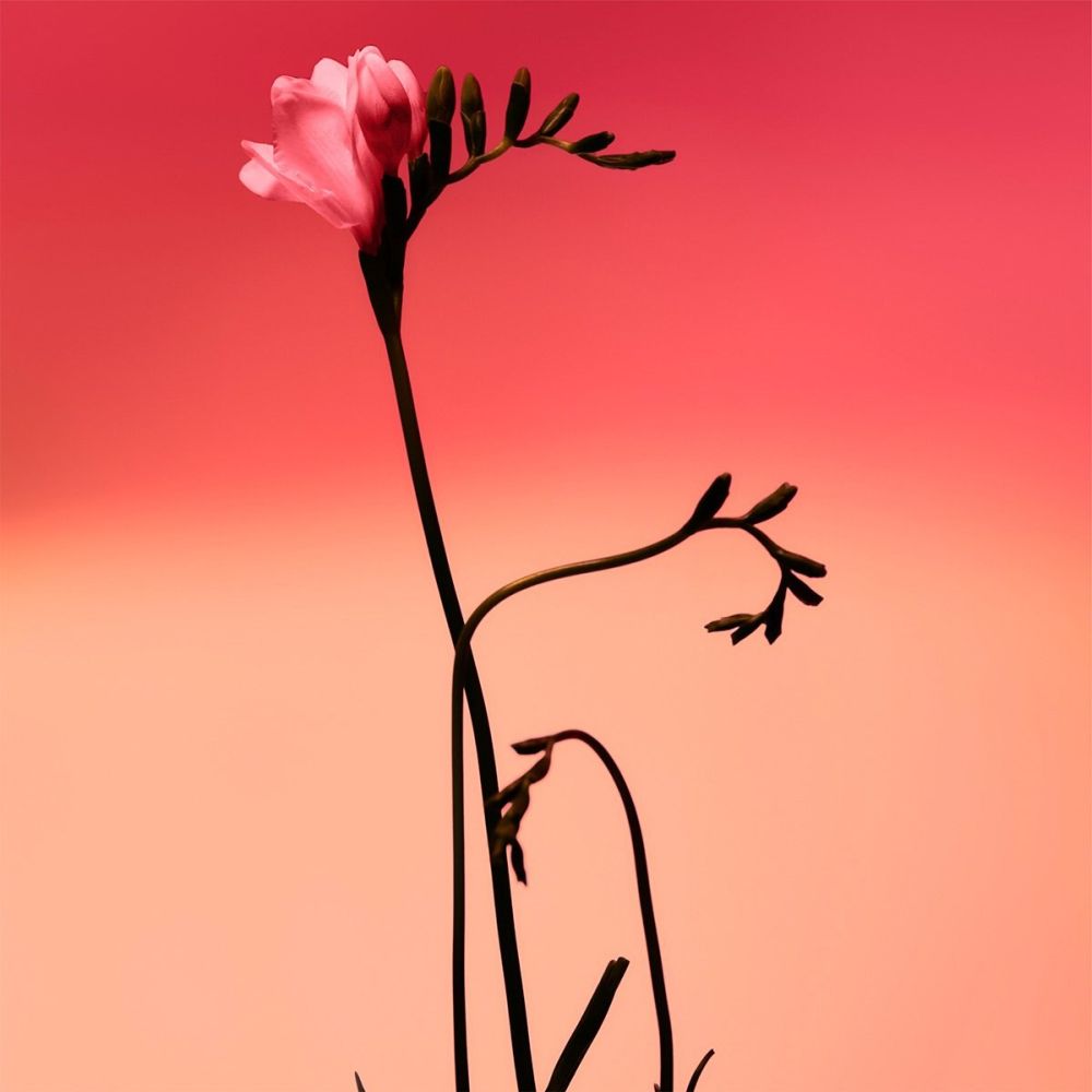 'Fresia Solar' Perfume Set - 3 Pieces