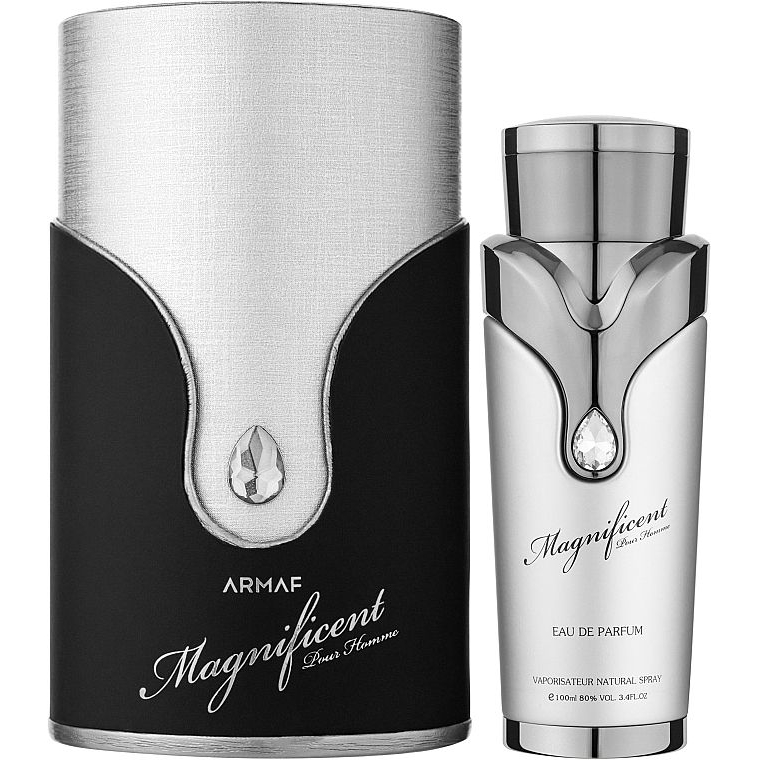 Eau de parfum 'Magnificent Pour Homme' - 100 ml