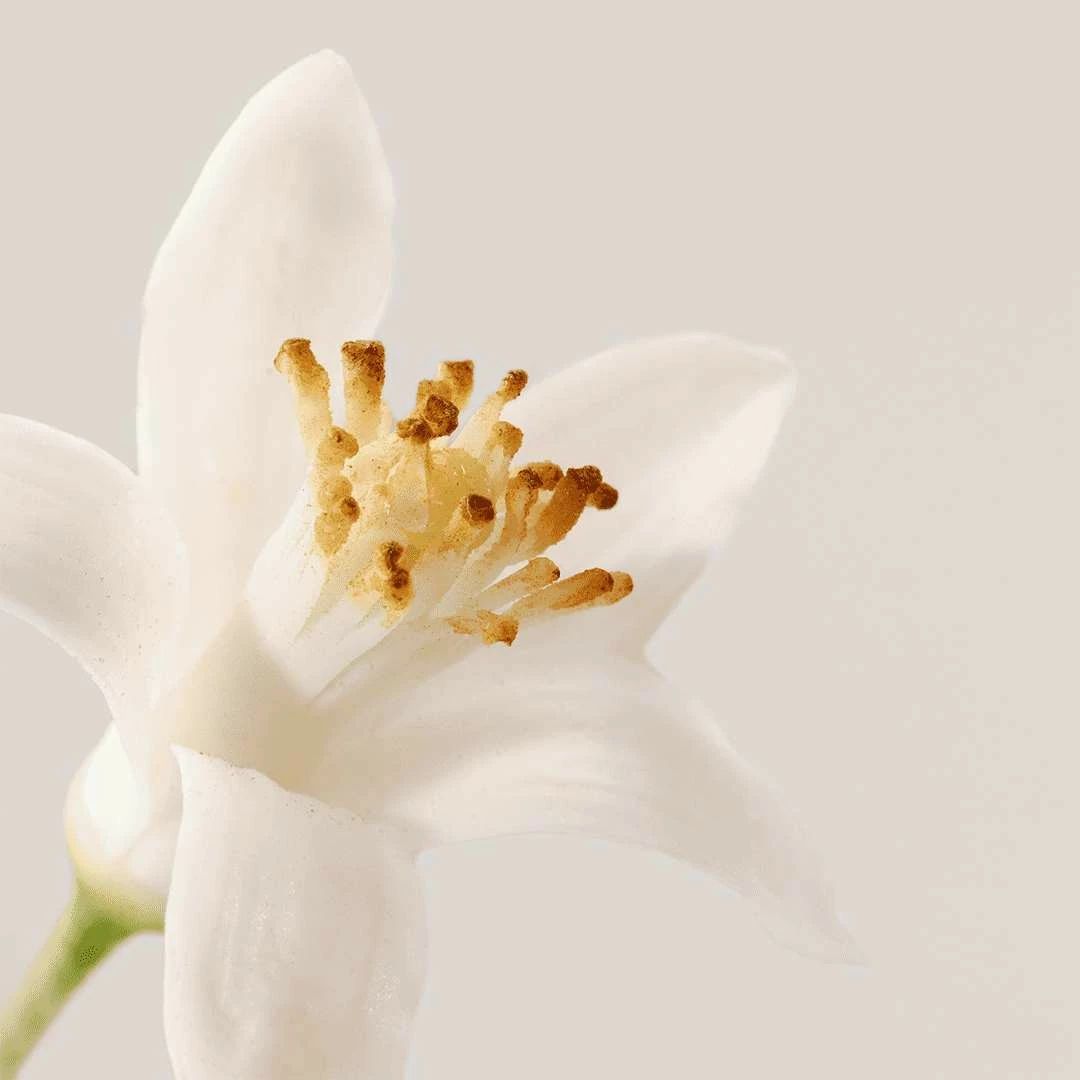 Lotion Tonifiante 'Nue Radiance-Boosting' - 400 ml