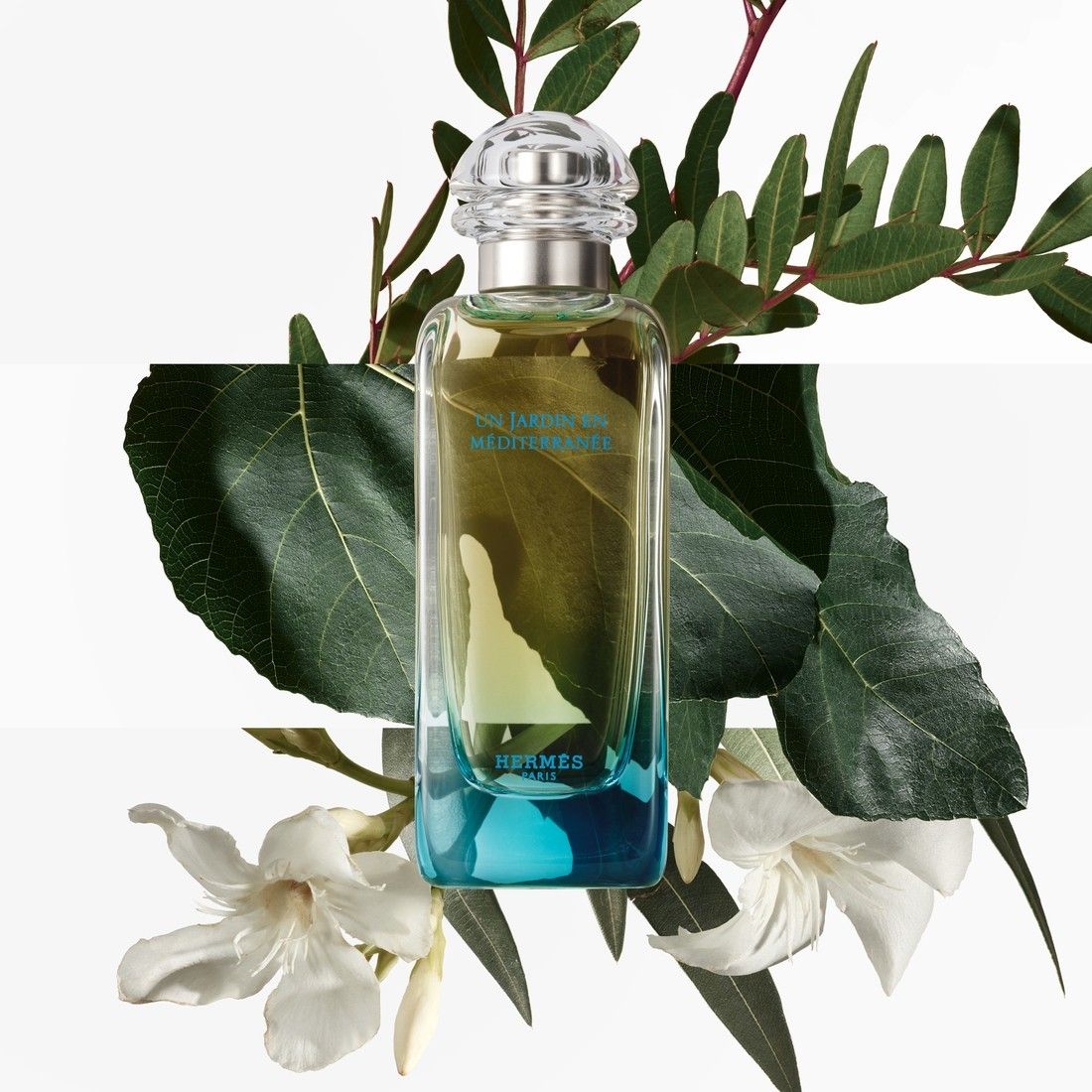 Eau de toilette ''Un Jardin En Mediterranée' Eau De Toilette - 50 ml' - 50 ml