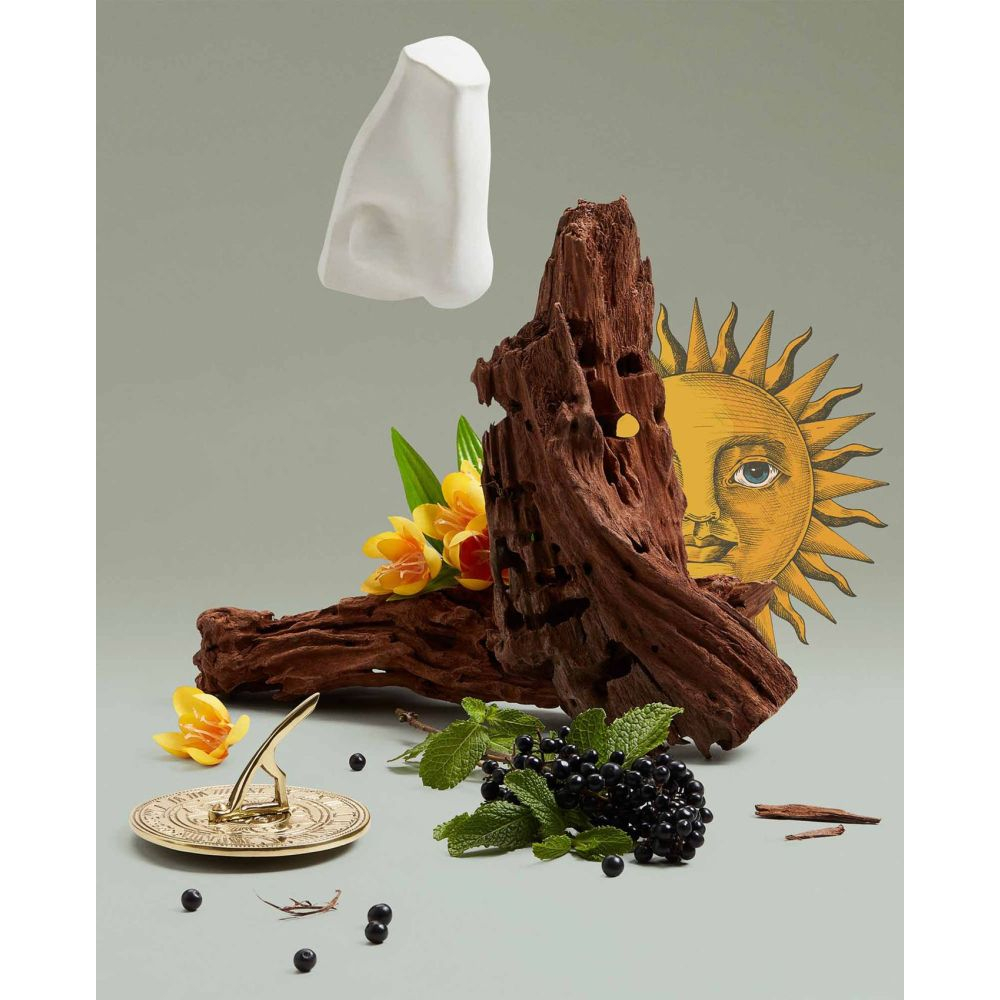 Eau de parfum 'Solaris' - 100 ml