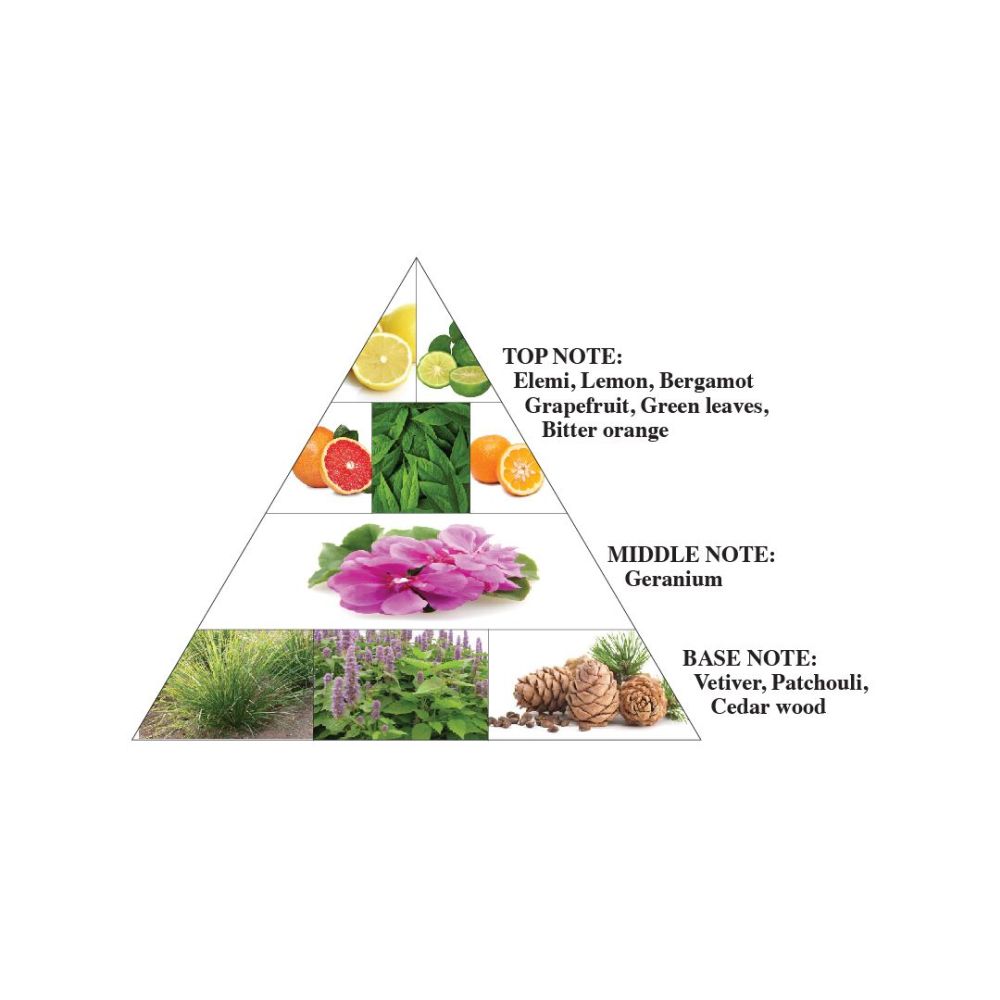 Eau de parfum 'Signature Blue' - 100 ml