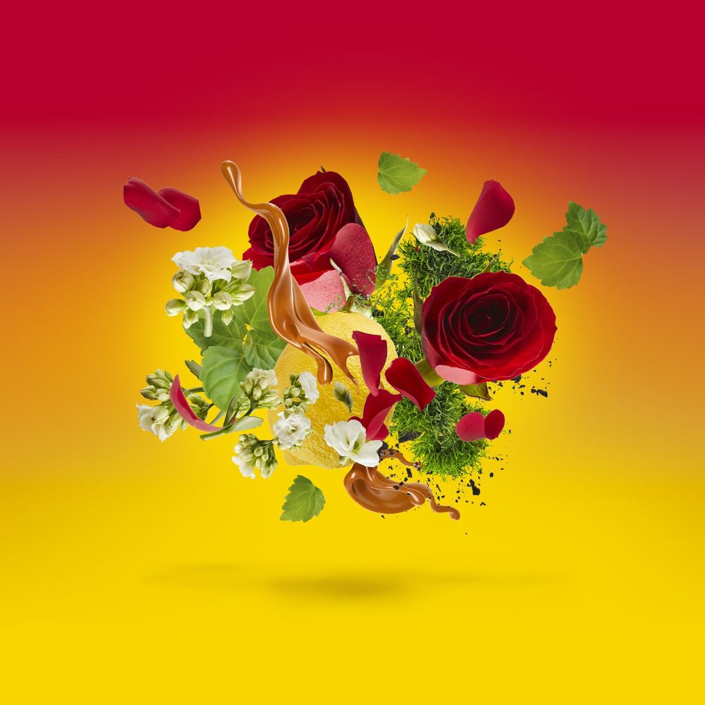 Eau de parfum 'Casamorati 1888 Levar Del Sole' - 100 ml