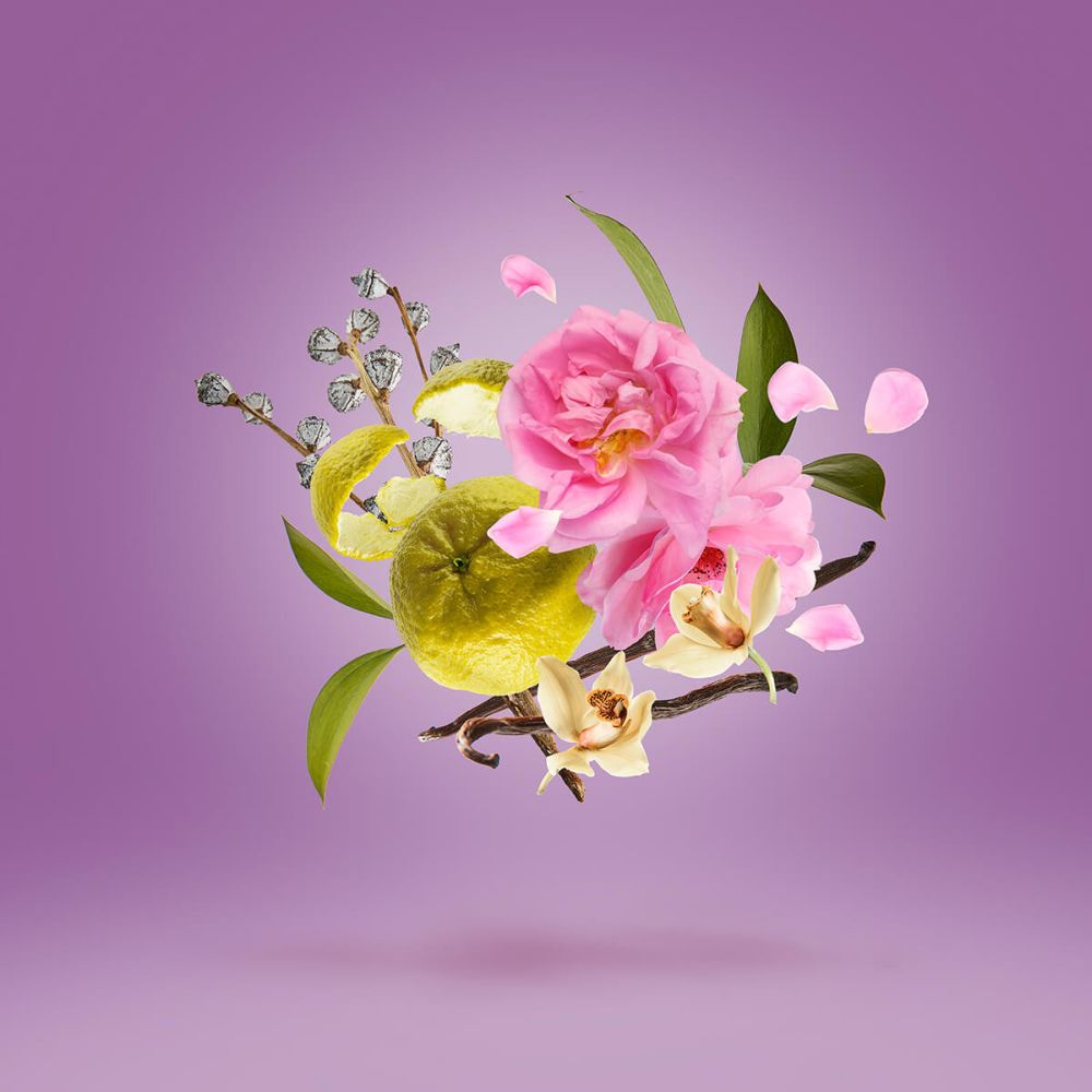 'Casamorati 1888 La Tosca' Haarnebel - 30 ml