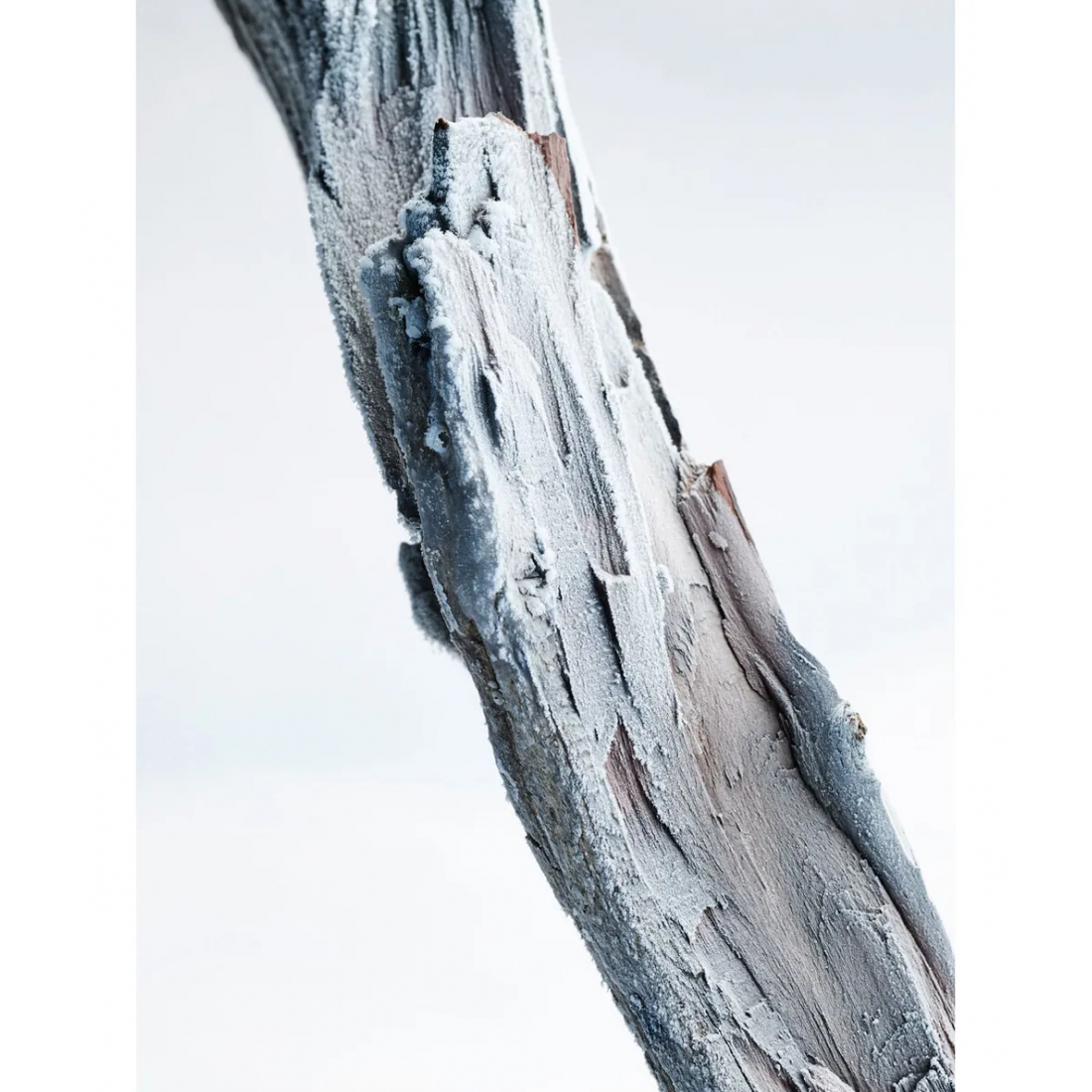 Eau de parfum 'Man Glacial Essence' - 100 ml