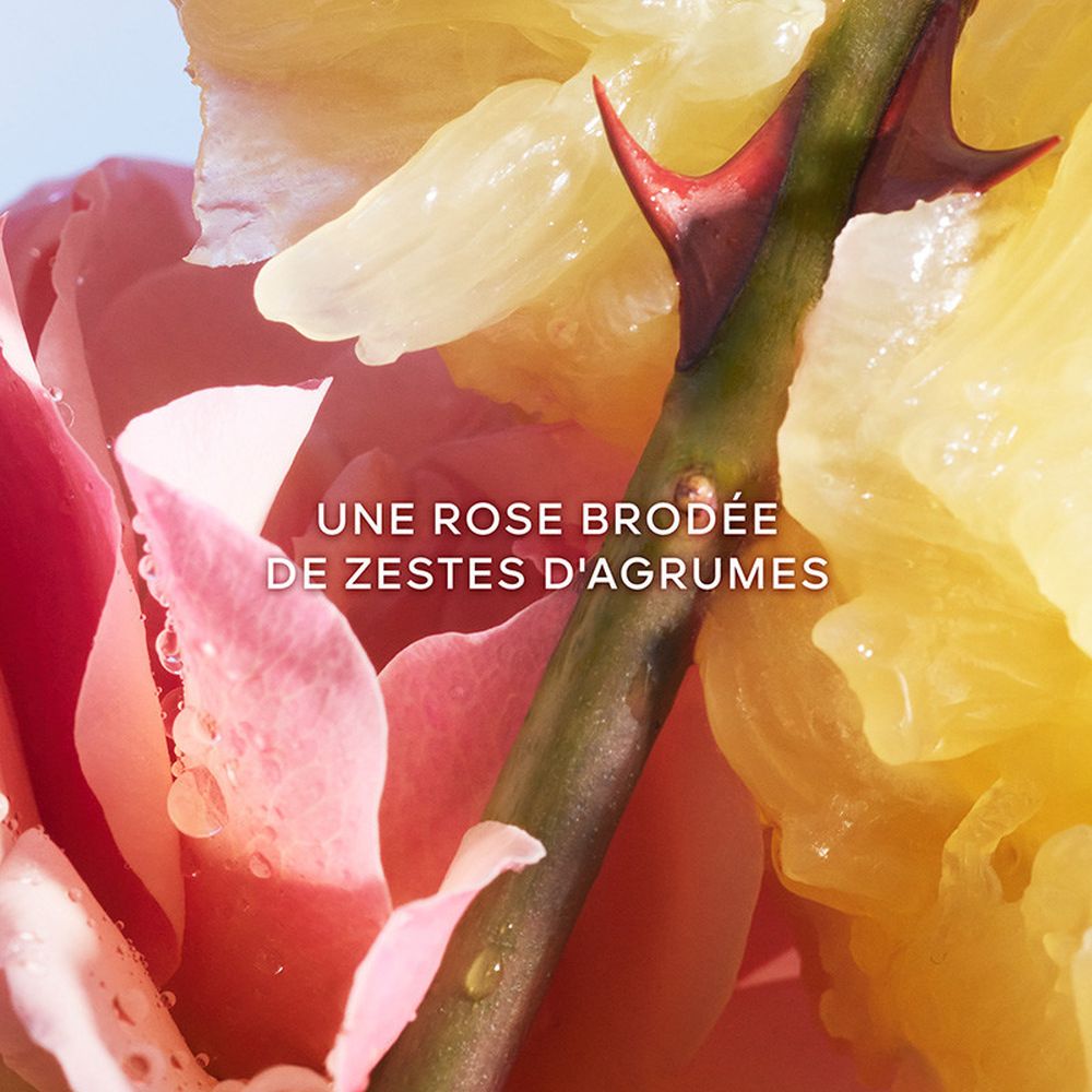 'La Petite Robe Noire' Perfume Set - 3 Pieces