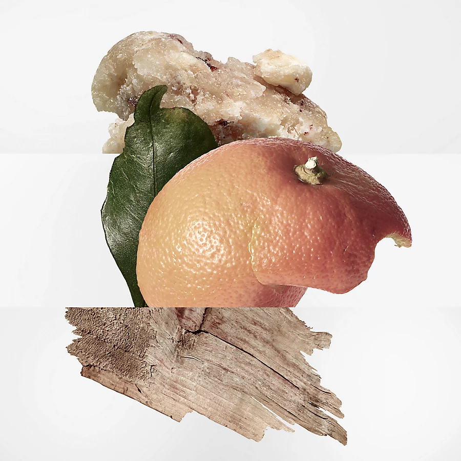 Eau de toilette - Recharge 'Eau des Merveilles' - 125 ml