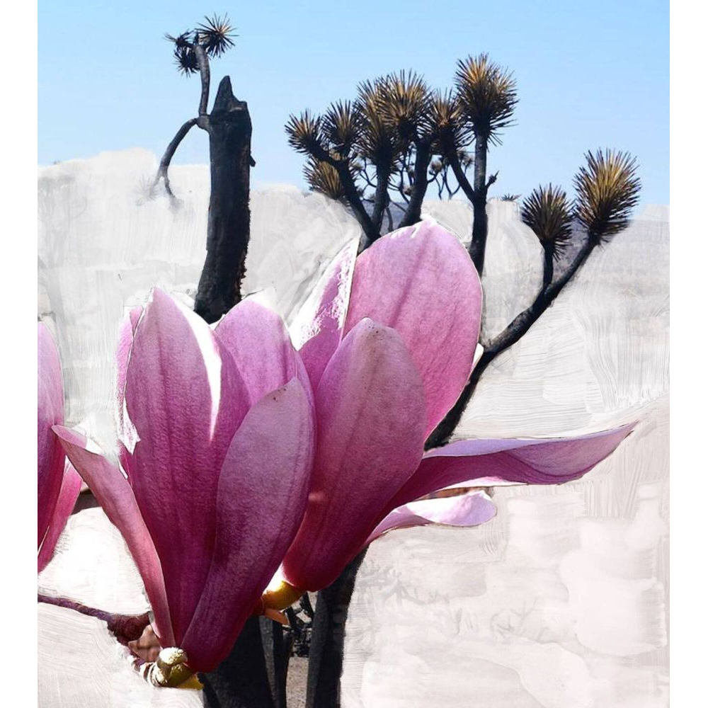 'Mojave Ghost Alcohol-Free' Eau De Parfum - 100 ml